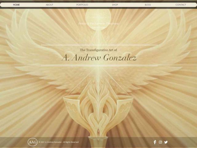 Visit the website of A Andrew Gonzalez